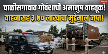 चाळीसगावात गोवंशाची अमानुष वाहतूक; वाहनासह ३.७० लाखांचा मुद्देमाल जप्त
