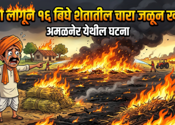 आग लागून १६ बिघे शेतातील चारा जळून खाक; अमळनेर येथील घटना