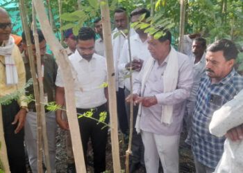 जामनेर तालुक्यातील पानमळ्यांची जिल्हाधिकाऱ्यांकडून पाहणी