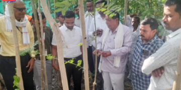 जामनेर तालुक्यातील पानमळ्यांची जिल्हाधिकाऱ्यांकडून पाहणी