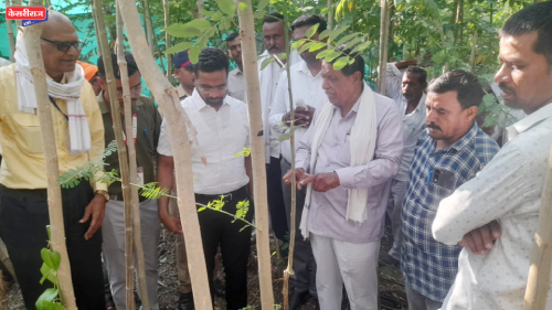 जामनेर तालुक्यातील पानमळ्यांची जिल्हाधिकाऱ्यांकडून पाहणी