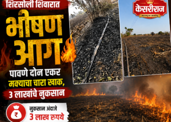 शिरसोली शिवारात भीषण आग; पावणे दोन एकर मक्याचा चारा खाक, ३ लाखांचे नुकसान
