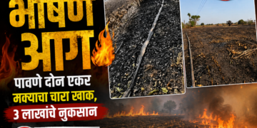 शिरसोली शिवारात भीषण आग; पावणे दोन एकर मक्याचा चारा खाक, ३ लाखांचे नुकसान