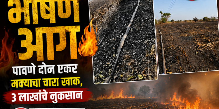 शिरसोली शिवारात भीषण आग; पावणे दोन एकर मक्याचा चारा खाक, ३ लाखांचे नुकसान