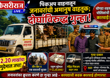 पिकअप वाहनातून जनावरांची अमानुष वाहतूक; दोघांविरुद्ध गुन्हा