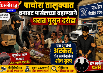 पाचोरा तालुक्यात बनावट पार्सलच्या बहाण्याने घरात घुसून दरोडा