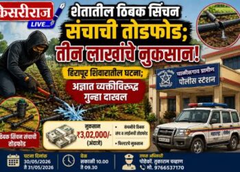 शेतातील ठिबक सिंचन संचाची तोडफोड; तीन लाखांचे नुकसान
