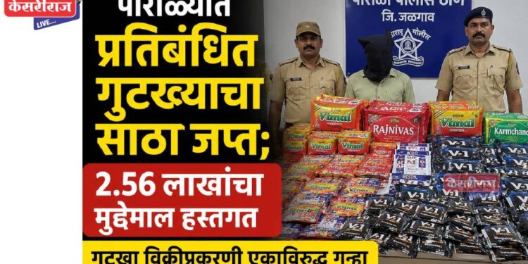 पारोळ्यात प्रतिबंधित गुटख्याचा साठा जप्त; २.५६ लाखांचा मुद्देमाल हस्तगत