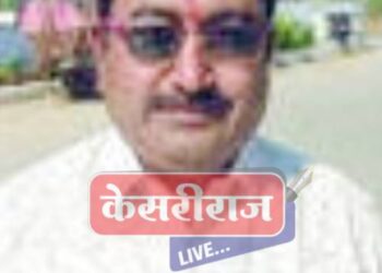 अमळनेरचे प्रा. अनिल पाटील अपघातात ठार