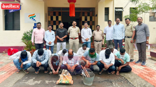 पहाटे एलसीबीची धडक; अमळनेरात गोवंश कत्तलीच्या कथित रॅकेटवर छापा, ११ जण ताब्यात