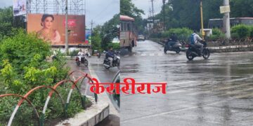 स्वातंत्र्य चौकातील अस्ताव्यस्त वाढलेली झाडे ठरताहेत अपघाताचा सापळा