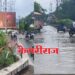 स्वातंत्र्य चौकातील अस्ताव्यस्त वाढलेली झाडे ठरताहेत अपघाताचा सापळा