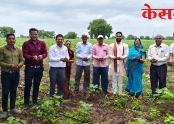 जिल्हाधिकारी यांचा ‘शेतकरी माझा पांडुरंग, शेती माझी पंढरी’ उपक्रमात सहभाग