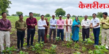 जिल्हाधिकारी यांचा ‘शेतकरी माझा पांडुरंग, शेती माझी पंढरी’ उपक्रमात सहभाग
