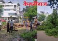 आर. आर. शाळेजवळ रात्री कोसळलेले निंबाचे झाड हटवले