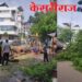 आर. आर. शाळेजवळ रात्री कोसळलेले निंबाचे झाड हटवले
