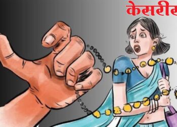 भरदिवसा महिलेच्या गळ्यातील सोन्याचे दागिने लंपास