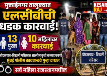 मुक्ताईनगर तालुक्यात एलसीबीची धडक कारवाई; १३ पुरुष व १० महिलांवर कारवाई
