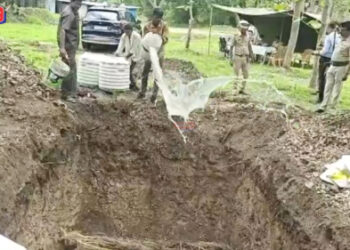 जळगाव पोलिसांचा अमली पदार्थ तस्करीवर मोठा प्रहार, तब्बल ९५८ किलो गांजा नष्ट करण्याची प्रक्रिया सुरू