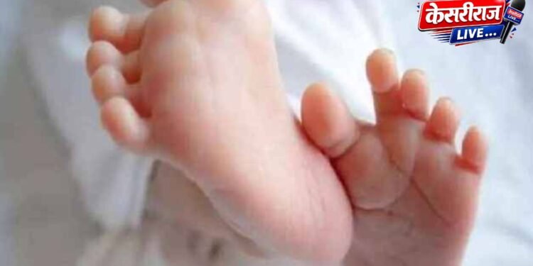 जळगावात रस्त्यावर आढळले मृत अर्भक; जुने जळगाव परिसरातील घटना, शनीपेठ पोलिसांकडून तपास सुरू