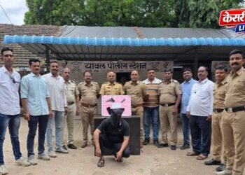 डांभुर्णीतील गोळीबार प्रकरणी सरपंचाला अटक; गावठी पिस्तुलासह जिवंत काडतूस जप्त