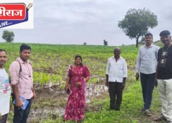 अतिवृष्टीचा फटका : भडगाव तालुक्यात नुकसानग्रस्त शेतीचे पंचनामे सुरू