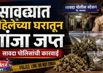 सावद्यात महिलेच्या घरातून गांजा जप्त; सावदा पोलिसांची कारवाई