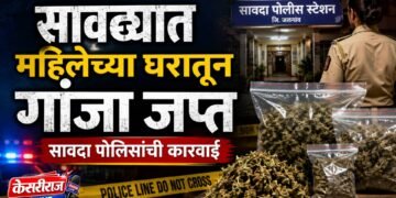 सावद्यात महिलेच्या घरातून गांजा जप्त; सावदा पोलिसांची कारवाई