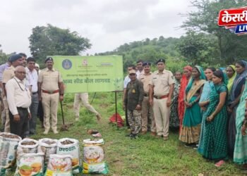 राखीव वनक्षेत्रात ५०० रोपांची लागवड; ३ हजार सीड्स बॉलची पेरणी