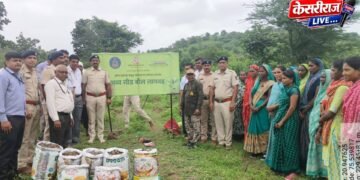 राखीव वनक्षेत्रात ५०० रोपांची लागवड; ३ हजार सीड्स बॉलची पेरणी