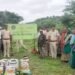 राखीव वनक्षेत्रात ५०० रोपांची लागवड; ३ हजार सीड्स बॉलची पेरणी