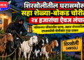 शिरसोलीतील घरासमोरून सहा शेळ्या-बोकड चोरीला; २४ हजारांचा ऐवज लंपास
