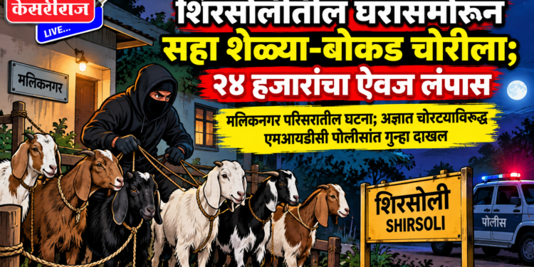 शिरसोलीतील घरासमोरून सहा शेळ्या-बोकड चोरीला; २४ हजारांचा ऐवज लंपास