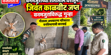 वनमजुराच्या शेतातील घरातून जिवंत काळवीट जप्त ; वनमजुराविरुद्ध गुन्हा