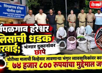 पिंपळगाव हरेश्वर पोलिसांची धडक कारवाई; भंगार दुकानांवर छापे