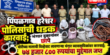 पिंपळगाव हरेश्वर पोलिसांची धडक कारवाई; भंगार दुकानांवर छापे