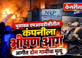 भुसावळ एमआयडीसीतील कंपनीला भीषण आग
