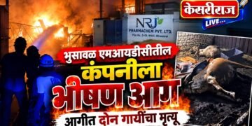 भुसावळ एमआयडीसीतील कंपनीला भीषण आग