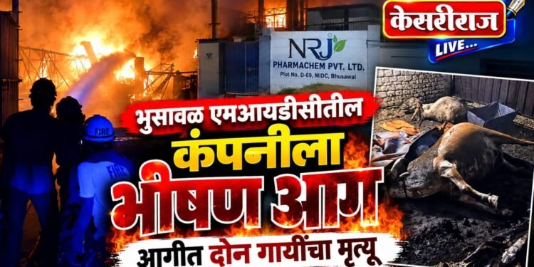 भुसावळ एमआयडीसीतील कंपनीला भीषण आग
