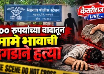 ८०० रुपयांच्या वादातून मामे भावाची दगडाने हत्या