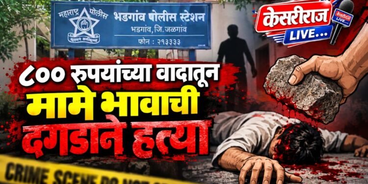 ८०० रुपयांच्या वादातून मामे भावाची दगडाने हत्या