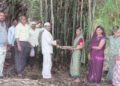 वाकोद येथे जागतिक बांबू दिन साजरा
