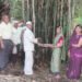 वाकोद येथे जागतिक बांबू दिन साजरा