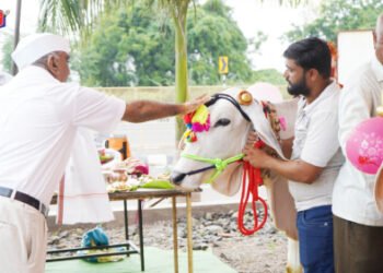 डॉ. उल्हास पाटील कृषि परिसरात सर्जा-राजाप्रती कृतज्ञता