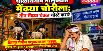 चाळीसगाव तालुक्यात मेंढ्या चोरीला; शेतातील गोठ्यातून २१ हजारांचा मुद्देमाल लंपास