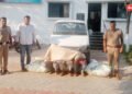 फत्तेपूर पोलिसांची मोठी कारवाई; शेतातील कापूस चोरी करणारी टोळी जेरबंद