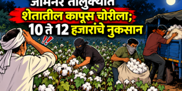 जामनेर तालुक्यात शेतातील कापूस चोरीला; १० ते १२ हजारांचे नुकसान