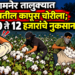 जामनेर तालुक्यात शेतातील कापूस चोरीला; १० ते १२ हजारांचे नुकसान