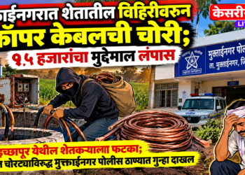मुक्ताईनगरात शेतातील विहिरीवरून कॉपर केबलची चोरी; १५ हजारांचा मुद्देमाल लंपास
