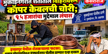 मुक्ताईनगरात शेतातील विहिरीवरून कॉपर केबलची चोरी; १५ हजारांचा मुद्देमाल लंपास